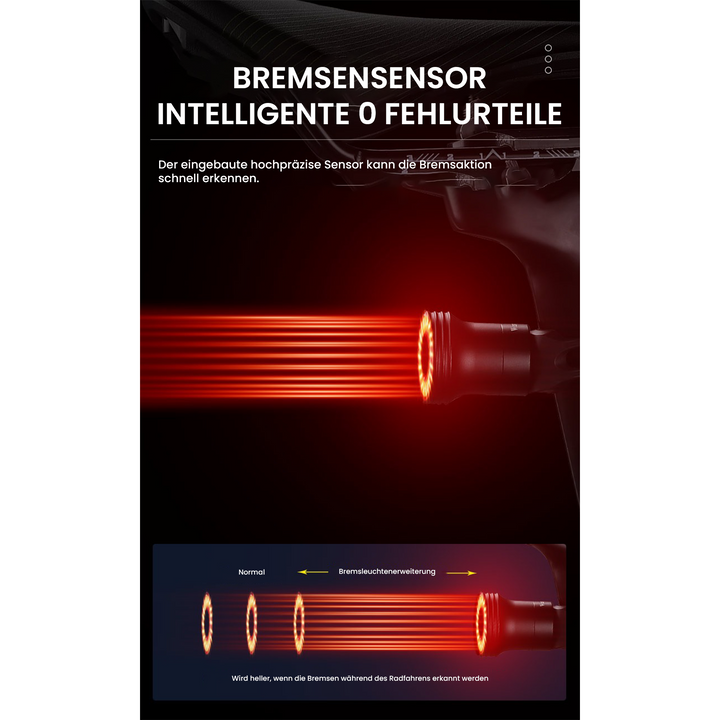 LichtSicher™ Smart-Rücklicht