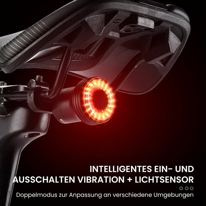LichtSicher™ Smart-Rücklicht