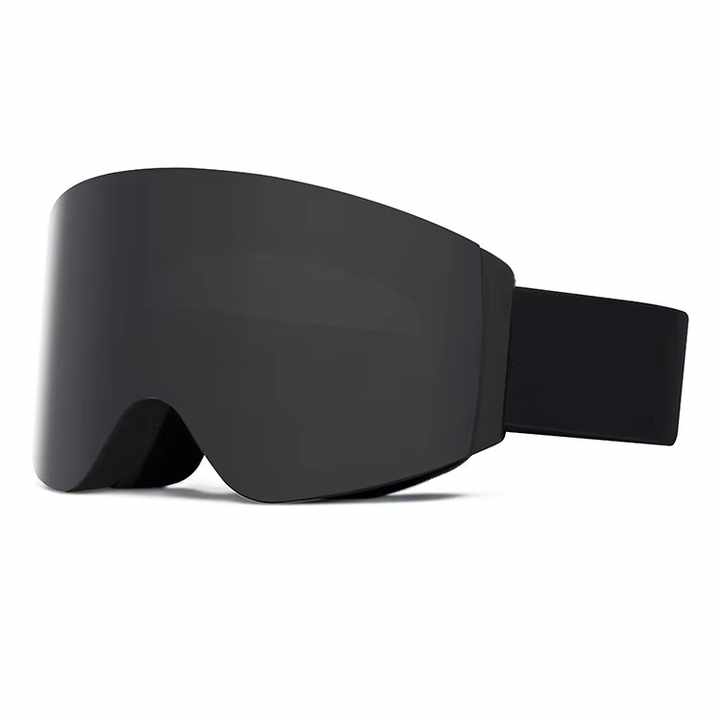 EisBlick™  Ski Brille