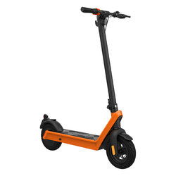 Ninebot KickScooter G31 Max