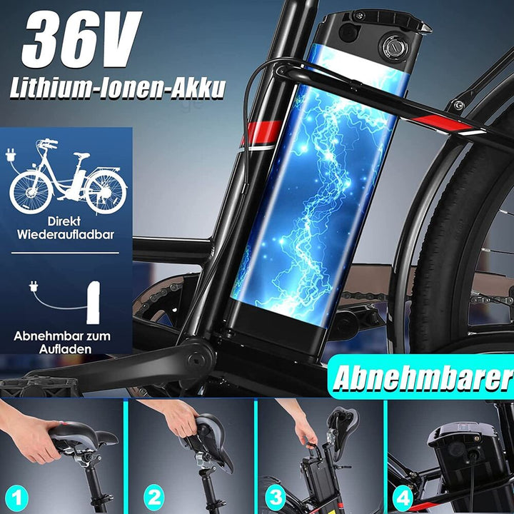 250W E-Fahrrad 26 Zoll
